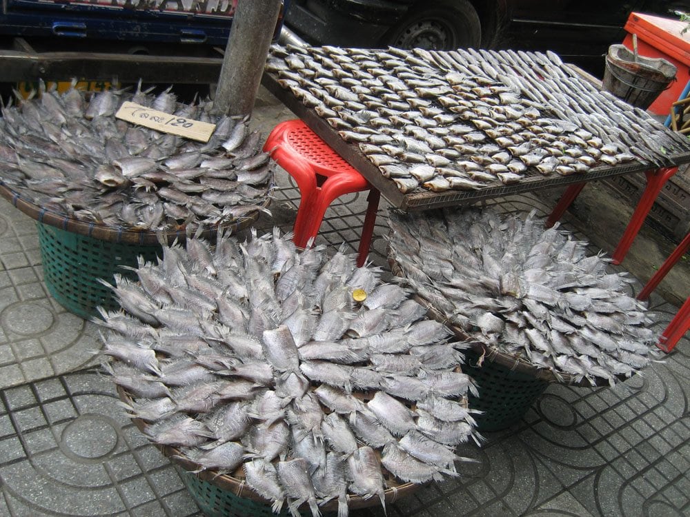 Dried Fish | Bangkok, Thailand