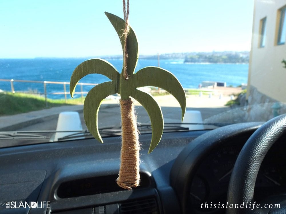 Car Palm Tree | This Island Life