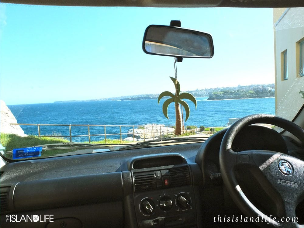 Car Palm Tree | This Island Life