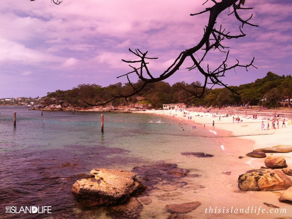 Sydney's Top 10 Harbour Beaches | Nielsons Park