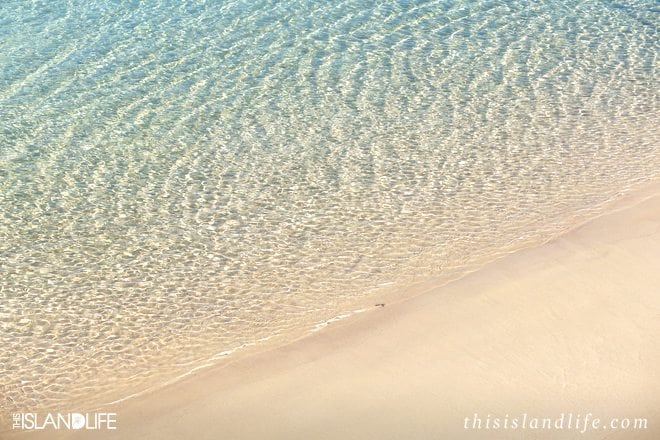 This Island Life | Bondi Beach