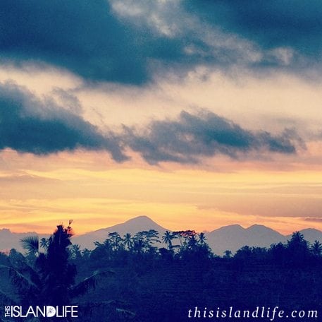 This Island Life | Instagram
