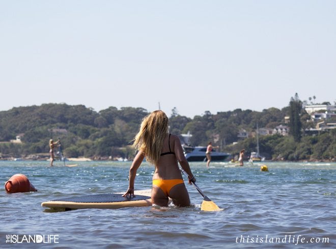 This Island Life | Stand Up Paddleboarding with Anchor Shapes
