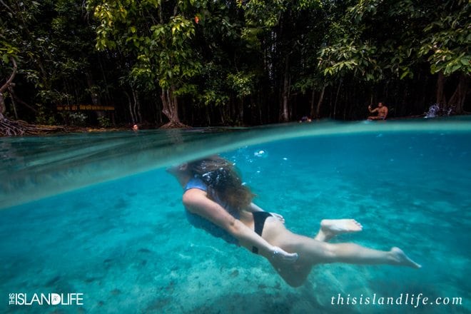 This Island Life | Emerald Pool - Krabi, Thailand