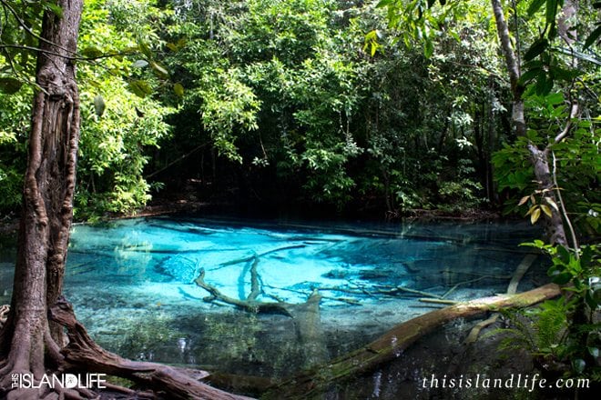 This Island Life | Blue Pool - Krabi, Thailand