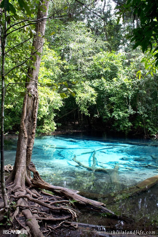 This Island Life | Blue Pool - Krabi, Thailand