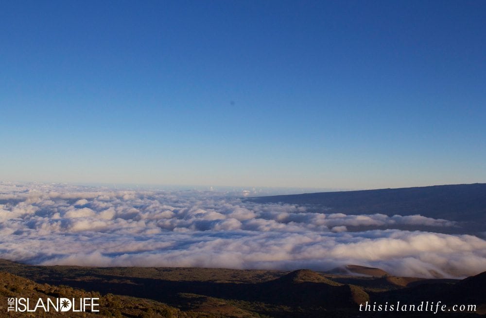 This Island Life | Mauna Kea Summit, Hawaii