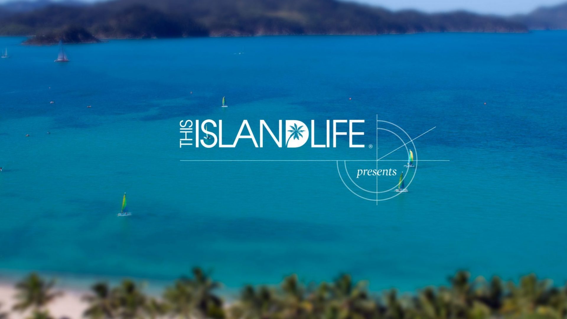 THIS ISLAND LIFE Presents | YouTube Channel