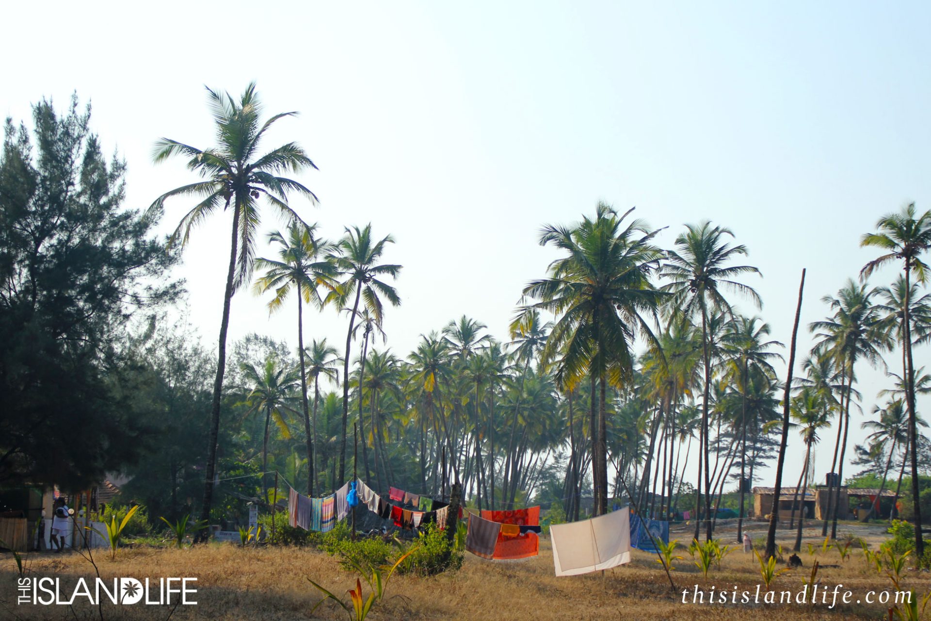 This Island Life | A-framed paradise in Goa, India