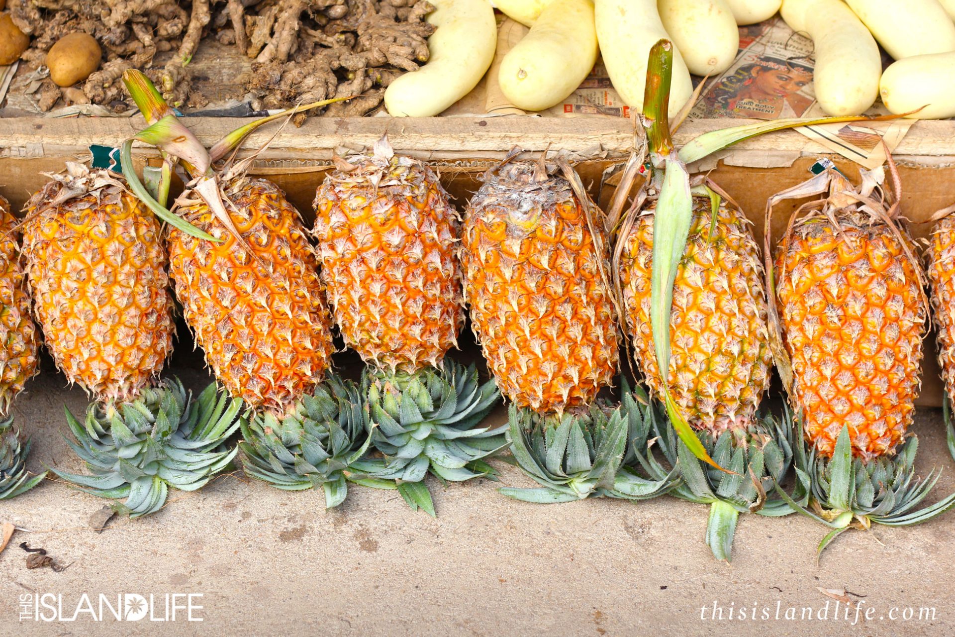 This Island Life | Tropical fruit in Sri Lanka