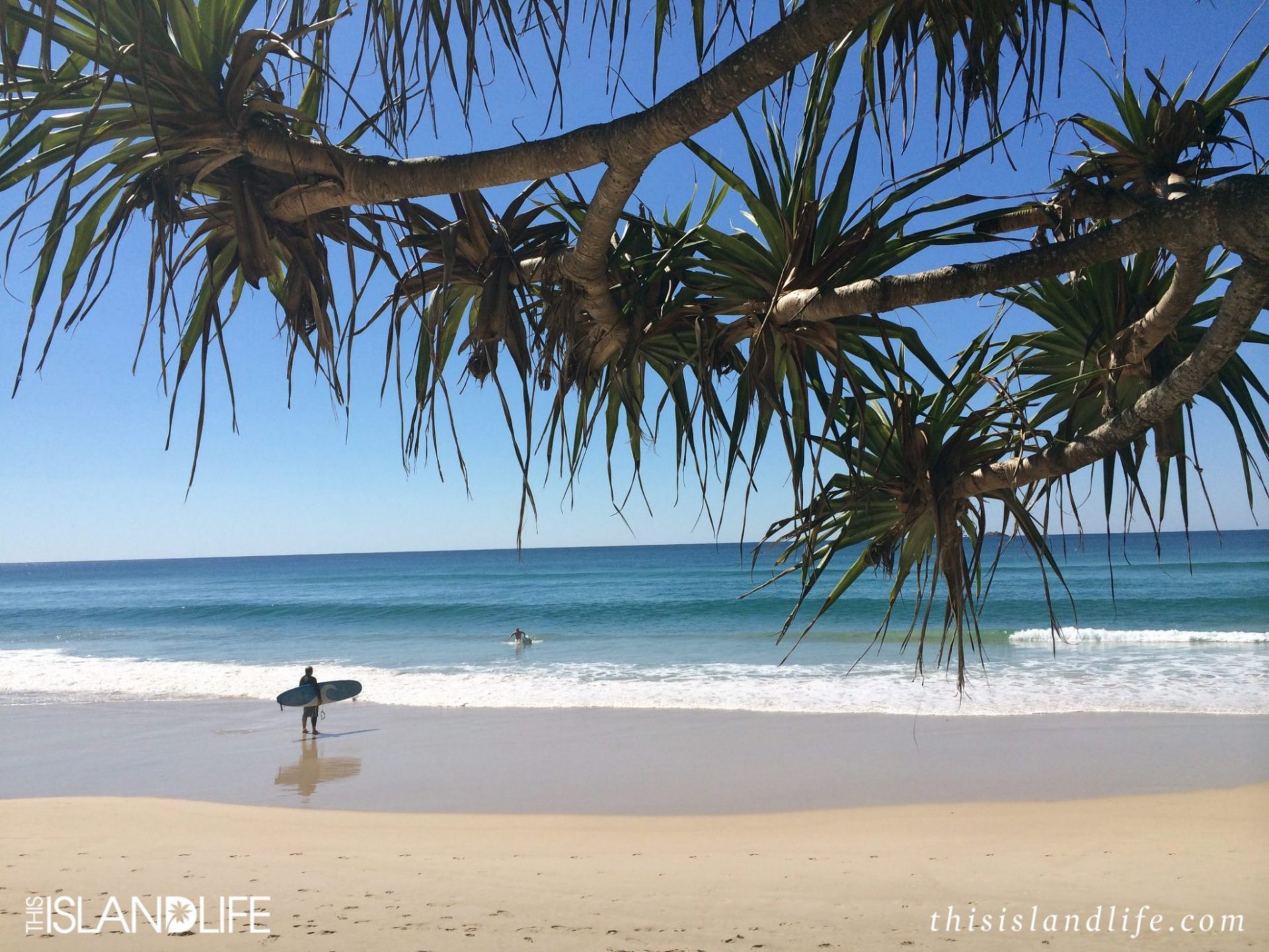 THIS ISLAND LIFE | Queensland and Byron Bay