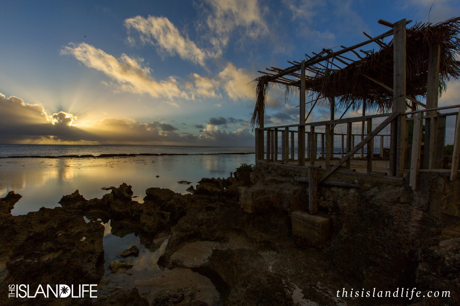 This Island Life in Tonga