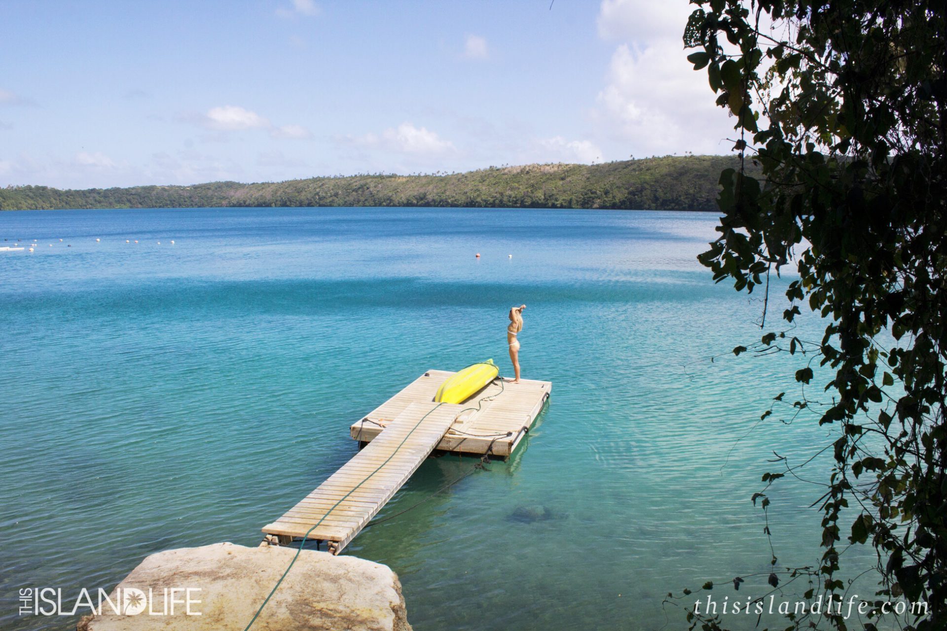 This Island Life in Tonga