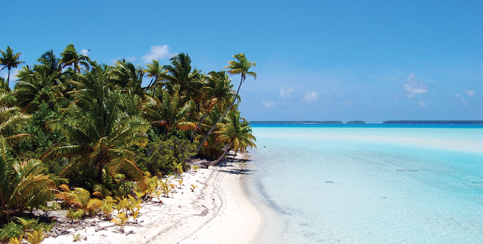 THIS ISLAND LIFE | The Brando - French Polynesia