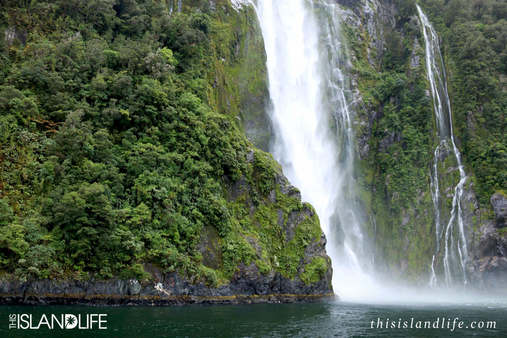 THIS ISLAND LIFE | Milford Sound, New Zealand