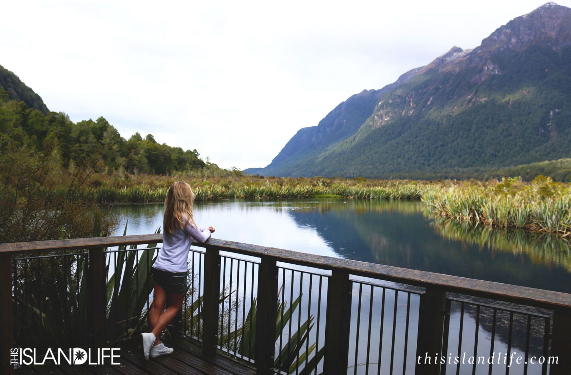 THIS ISLAND LIFE | Milford Sound, New Zealand