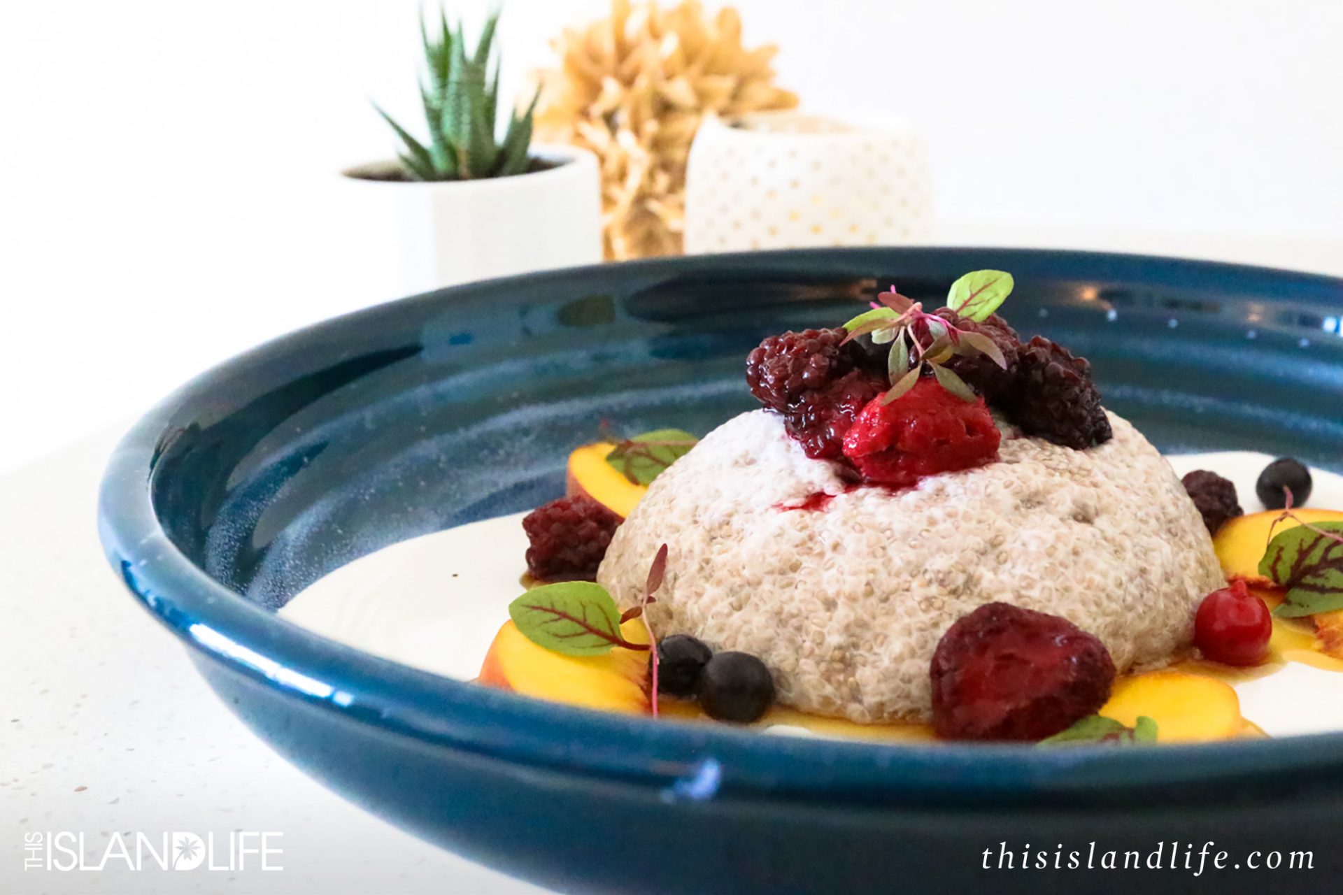 This Island Life | HOW TO MAKE COCONUT-SOAKED CHIA SEED PUDDING