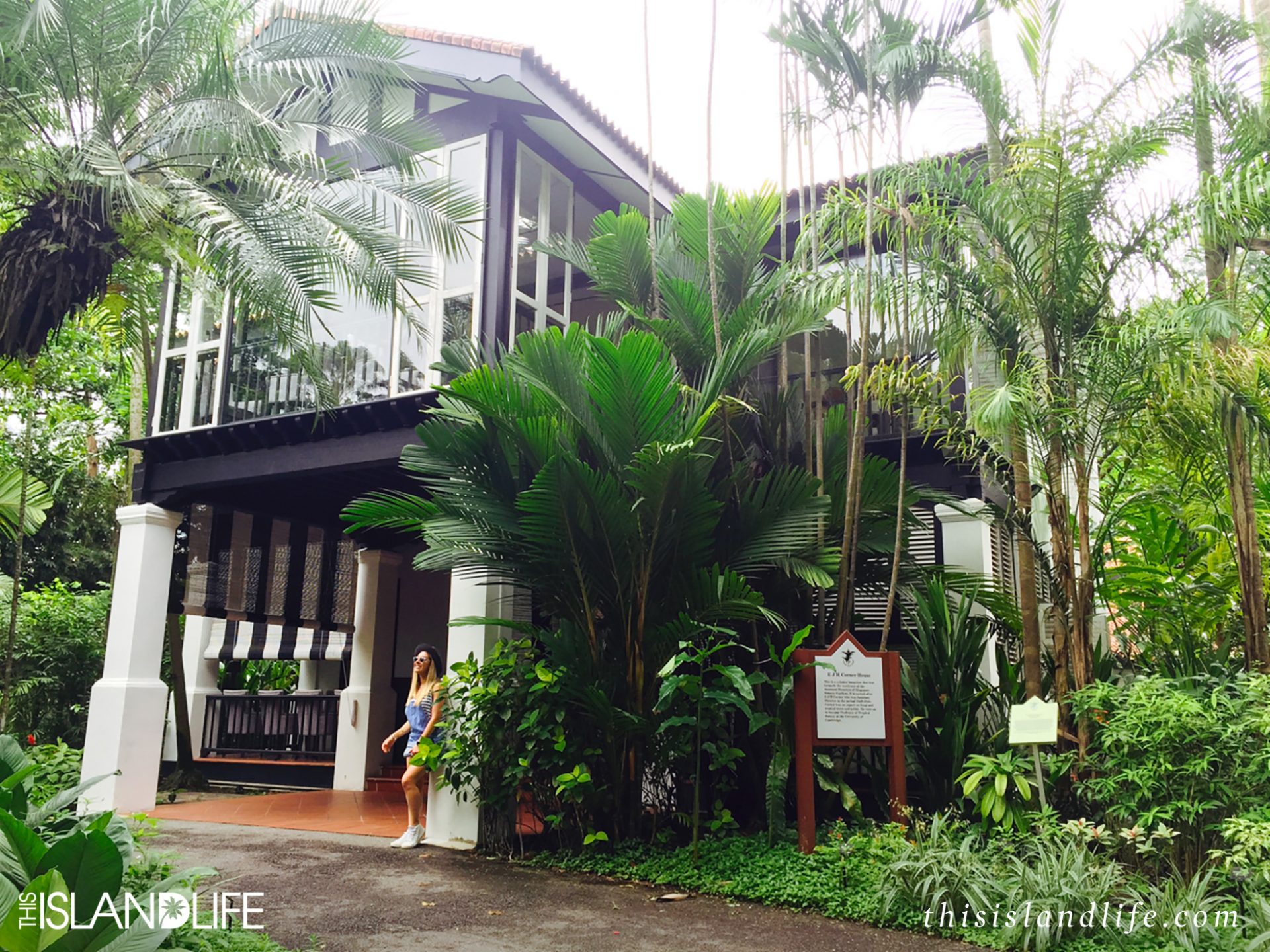 THIS ISLAND LIFE | The Corner House, Singapore