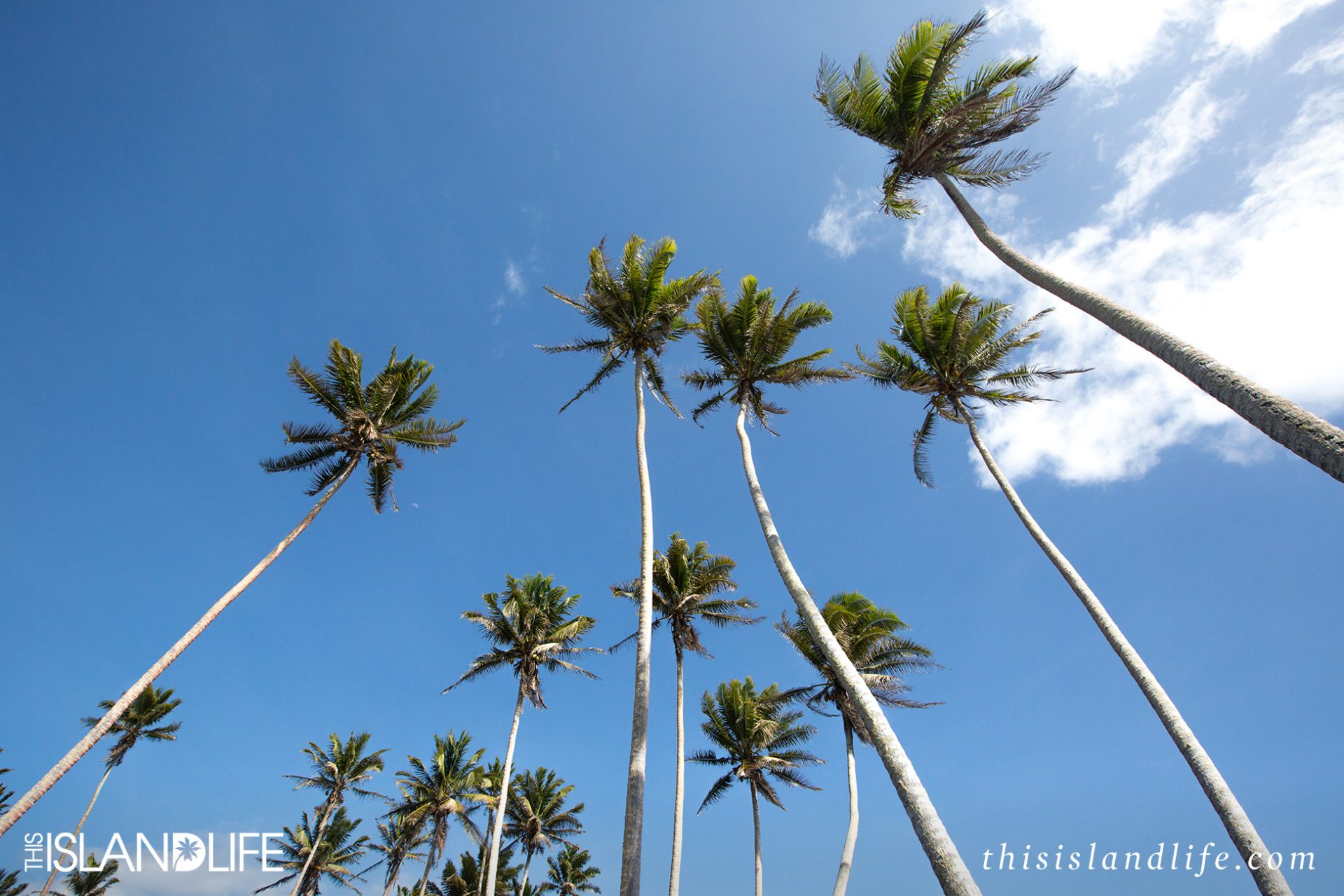 This Island Life | Island hopping in Samoa