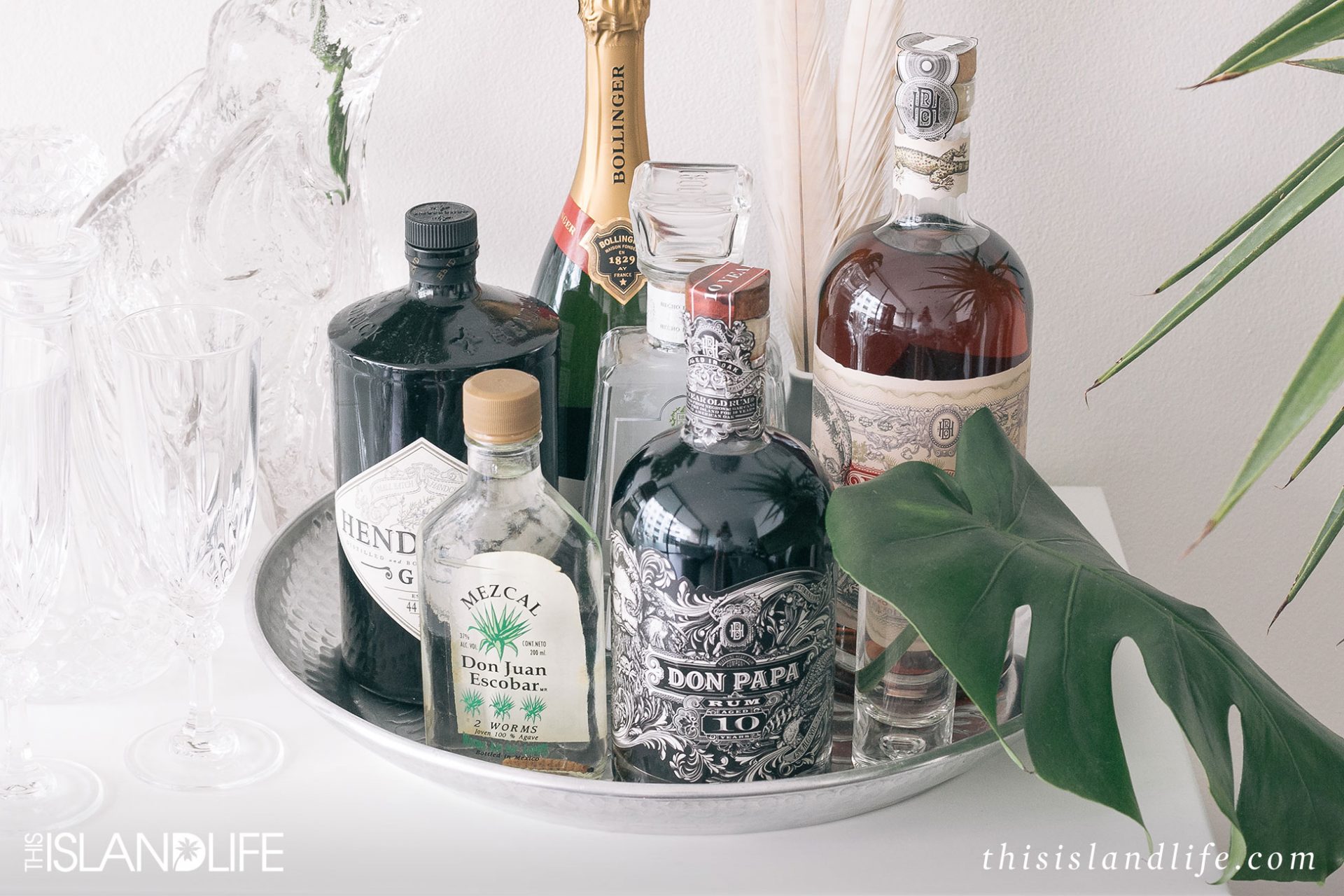 This Island Life | Tropical essentials - New Year's Eve