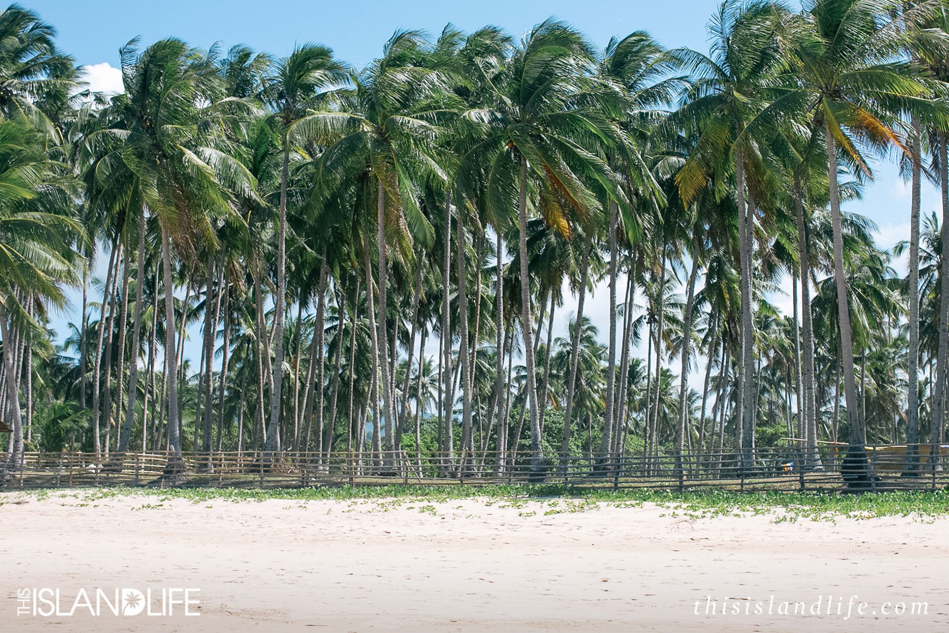 This Island Life | Nacpan Beach in El Nido, Philippines