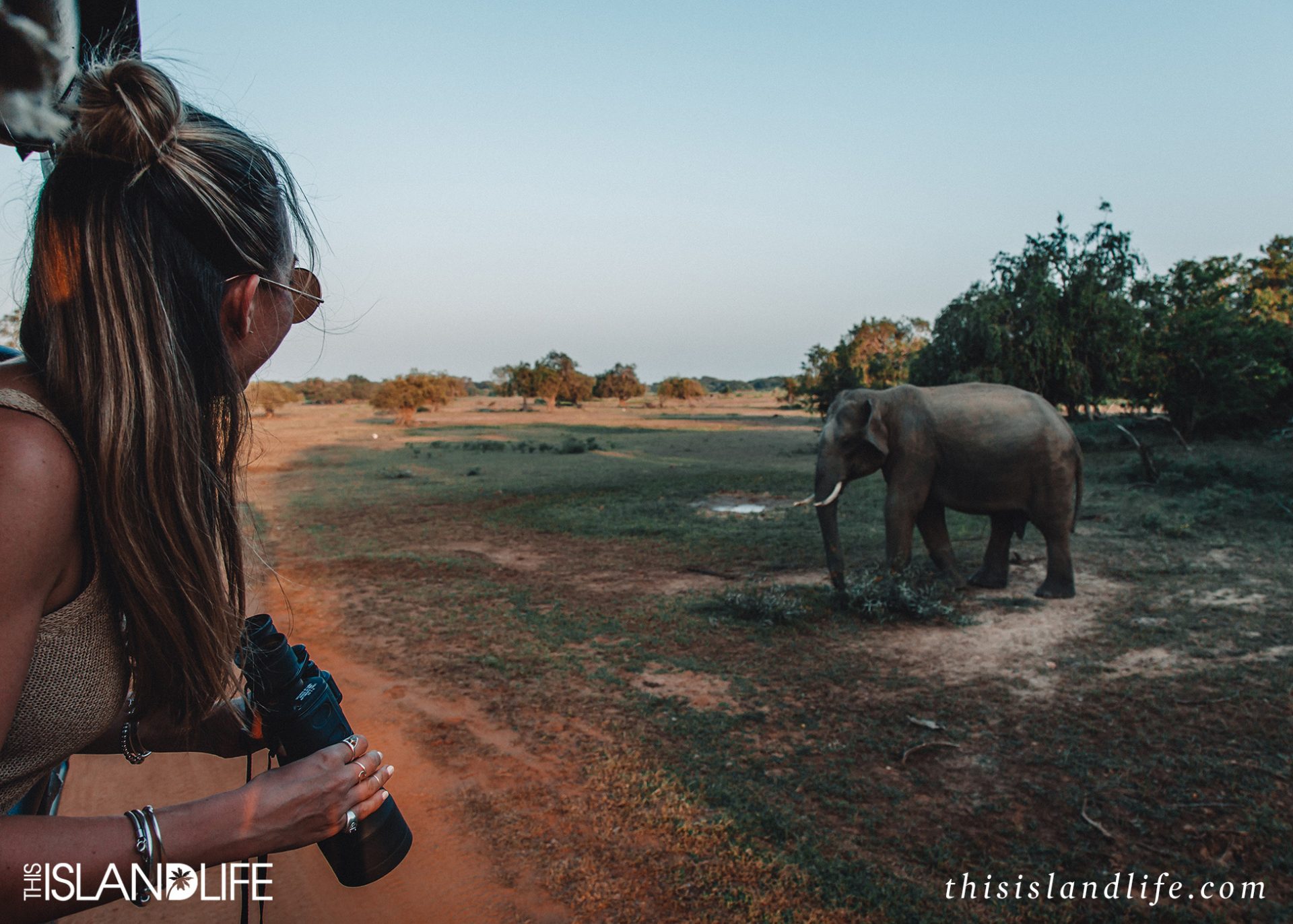 Girl on Safari with elephants in Sri Lanka