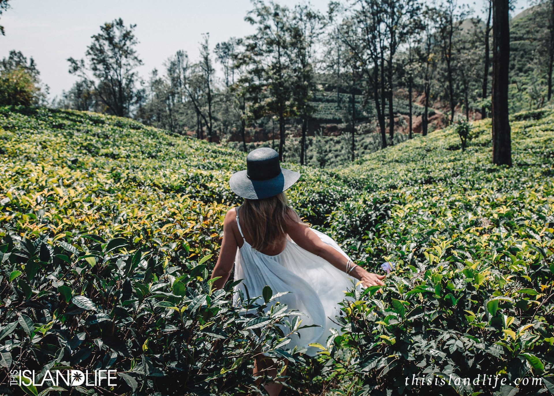 Girl walking through tea plantation in Sri Lanka