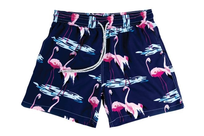 Toggs Swimming Shorts | THIS ISLAND LIFE