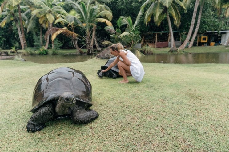 Curieuse Island and its Aldabra giant tortoises, Seychelles